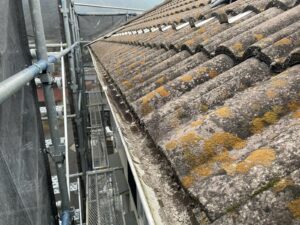 モニエル瓦の苔