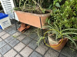 破損した植木鉢の画像