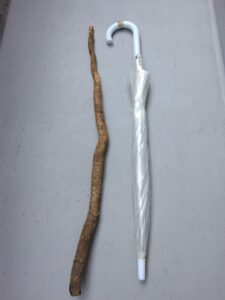 立派に育ったのね。