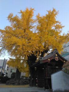 油断大敵！忙しい時ほど慎重に！！