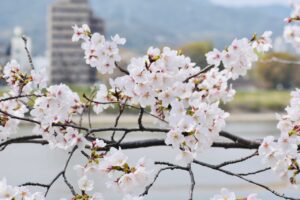 ロティサリーチキンスープ